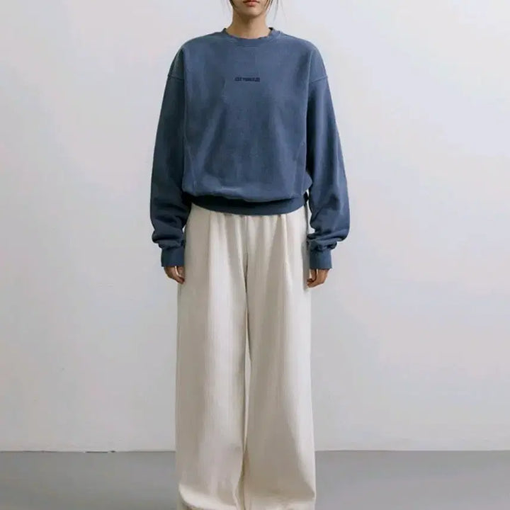 [BUNJANG] CITYBREEZE Pigment Sweatshirt / 시티브리즈 피그먼트 맨투맨 새상품