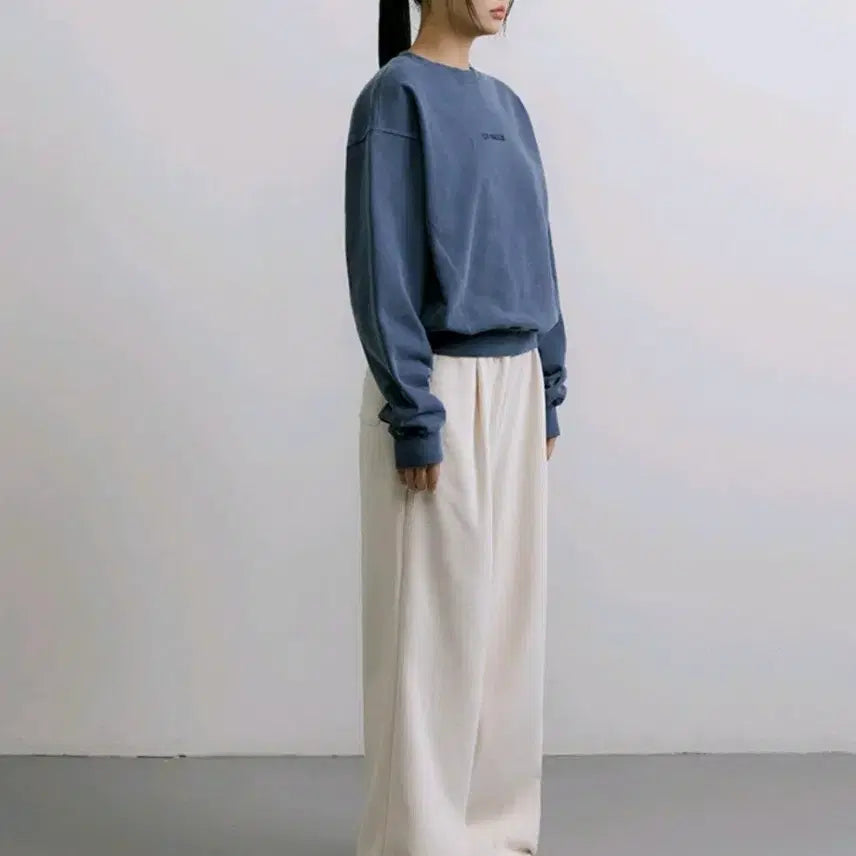 [BUNJANG] CITYBREEZE Pigment Sweatshirt / 시티브리즈 피그먼트 맨투맨 새상품