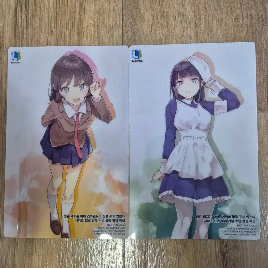[SOLD OUT] 청춘 돼지 클리어 카드 11/12권 특전