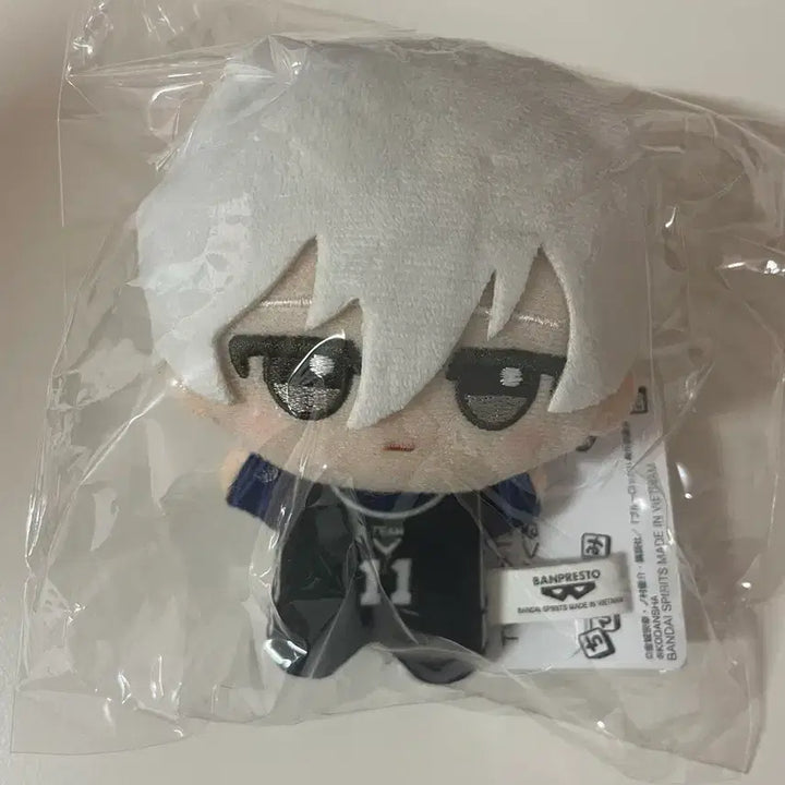 [BUNJANG] Blue Lock Nagi Seishiro Chibigurumi Plush - Sealed / 미개봉 블루록 나기 세이시로 치비구루미 치비누이 양도