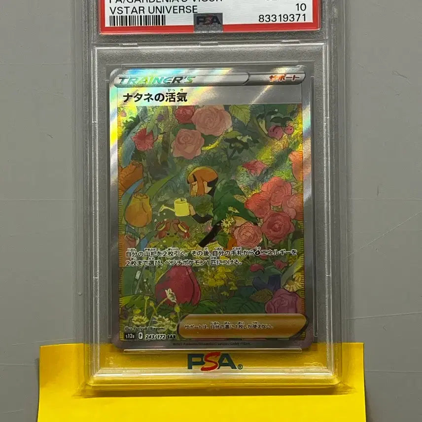 [BUNJANG] Pokemon Japanese Natane&