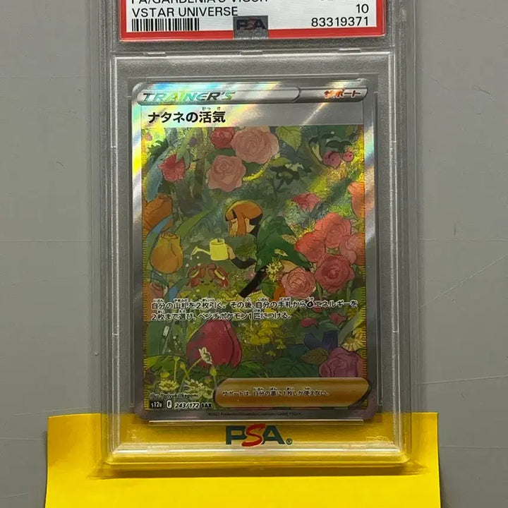 [BUNJANG] Pokemon Japanese Natane&
