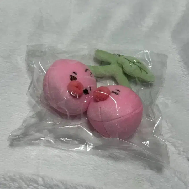 [SOLD OUT] 콘서트 떤코베리 인형 더보이즈 선우 양도 미개봉