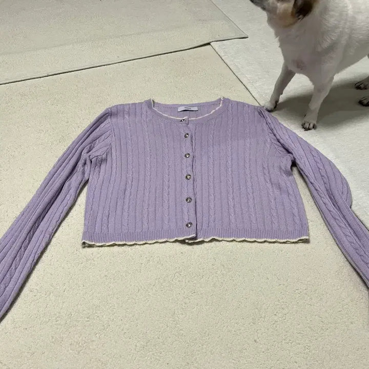 [BUNJANG] Purple Cable Knit Cardigan / 연보라 꽈배기 니트 가디건