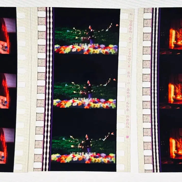 [BUNJANG] 혐오스런 마츠코의 일생 Film Cut Set / 혐오스런 마츠코의 일생 필름컷 6매 / 영화 필름