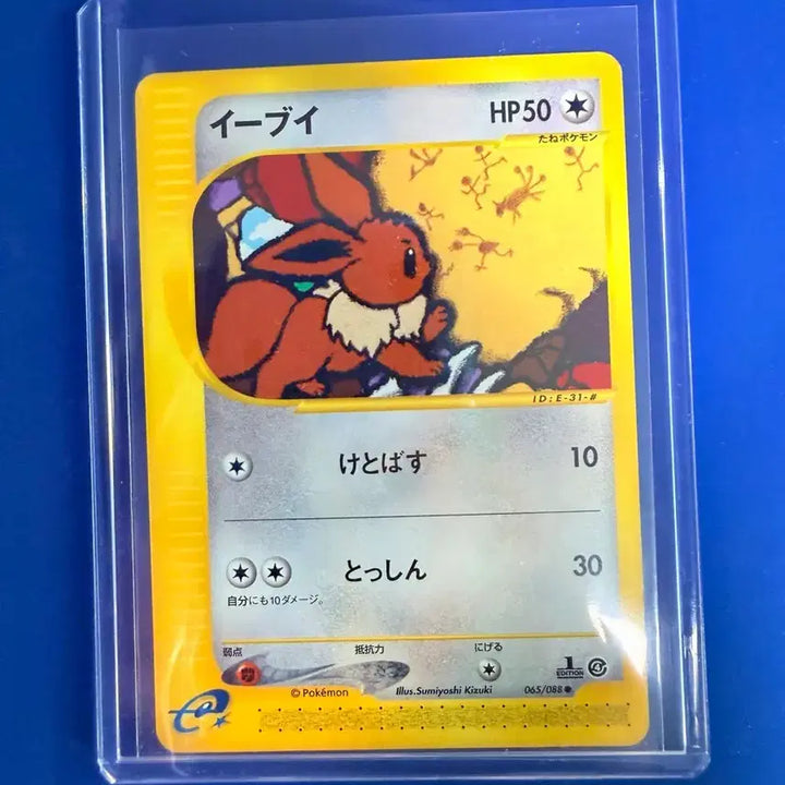 [BUNJANG] Pokemon Card Eevee Japanese Card Album / 포켓몬카드 이브이 일판 카드 앨범용