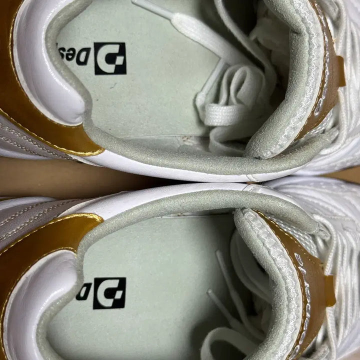 [BUNJANG] Desporte Campinas Venus Soccer Shoes / 데스포르치 캄피나스 비너스 250mm