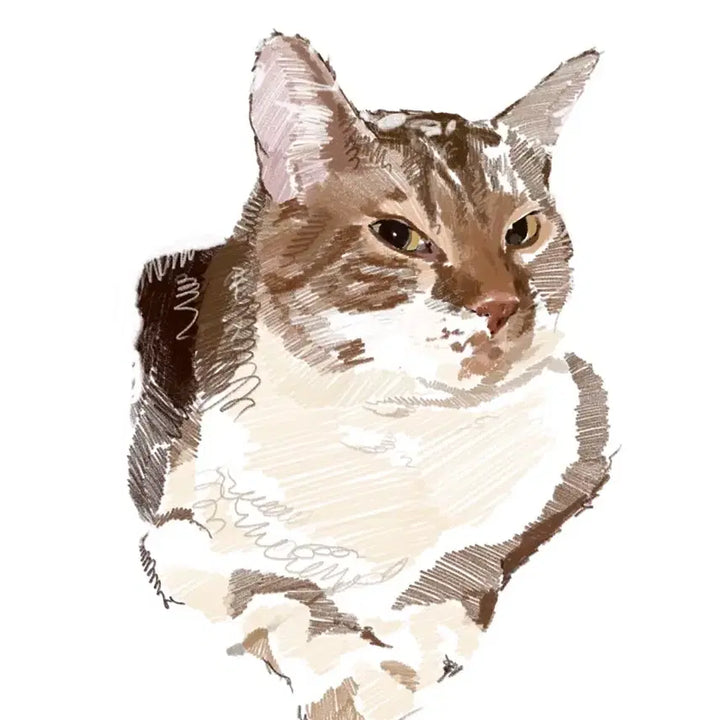 [BUNJANG] Custom Pet Portrait Digital Drawing / 반려동물 그림 그려 드려요
