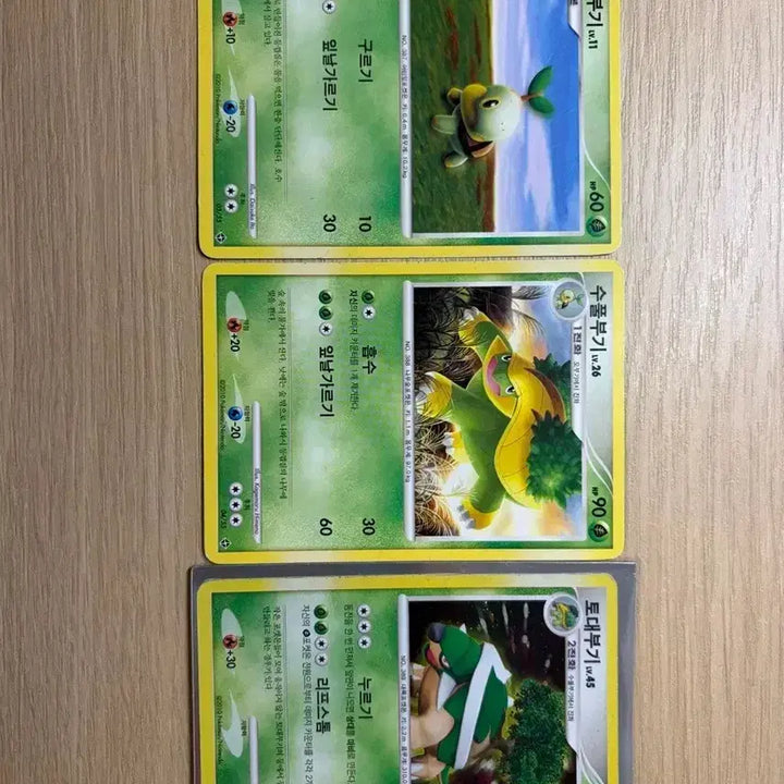 [BUNJANG] Pokemon Torterra LV Card Bundle / 일괄판매)포켓몬카드 토대부기 LV 카드 일괄