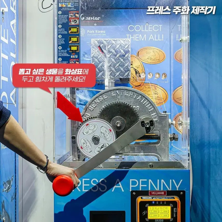 [BUNJANG] Lotte World COEX Aquarium Penguin Commemorative Coin / 롯데월드 코엑스 아쿠아리움 펭귄 기념주화
