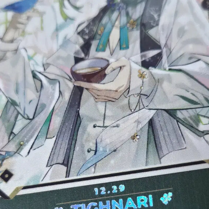 [BUNJANG] Genshin Impact Tighnari Bundle Set / 원신 타이나리 비공굿 포토카드, 뱃지 일괄