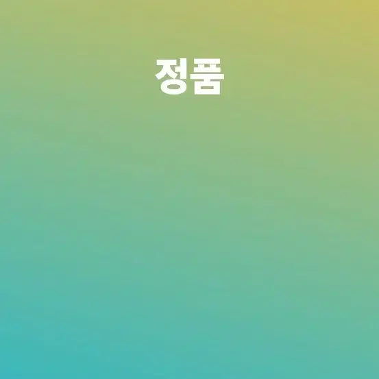 [SOLD OUT] 스톤아일랜드 카고 반바지