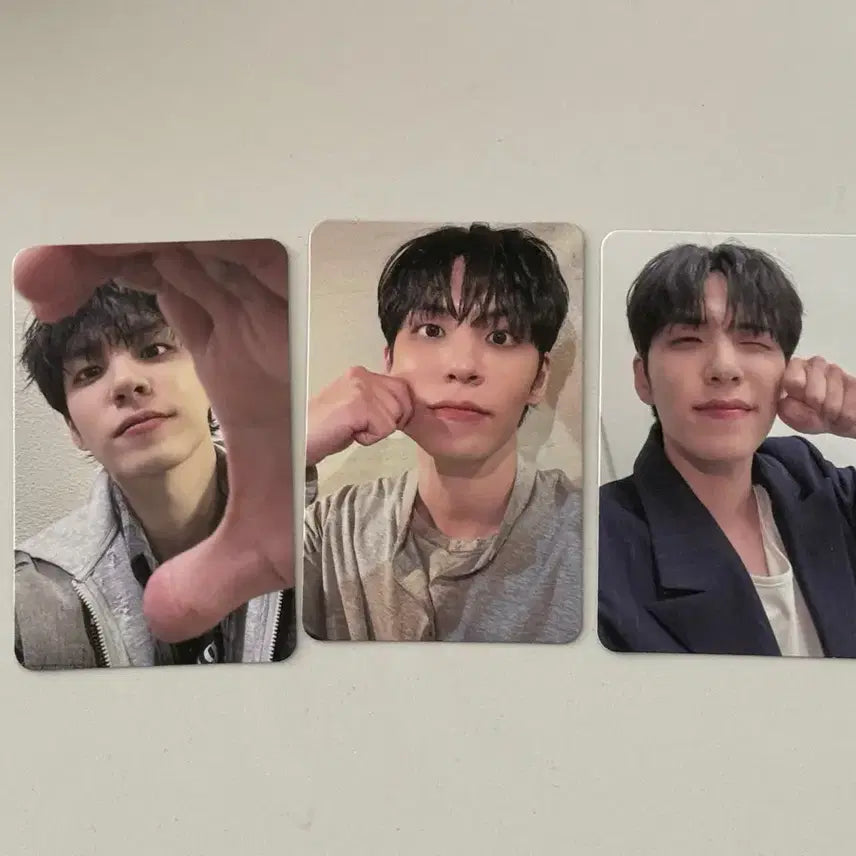 [BUNJANG] Young K Wonpil Singer-Along Photocard Bundle Set / 원필 싱어롱 포카 3종 일괄 판매합니다