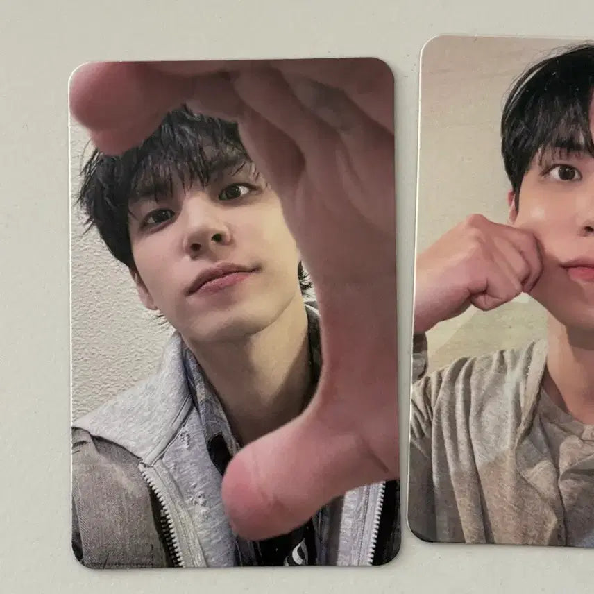 [BUNJANG] Young K Wonpil Singer-Along Photocard Bundle Set / 원필 싱어롱 포카 3종 일괄 판매합니다