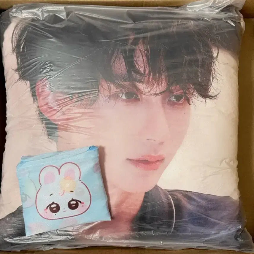 [SOLD OUT] 세븐틴 정한 대형쿠션 &amp; 바쿠백 생일카페 생카 하니랜드