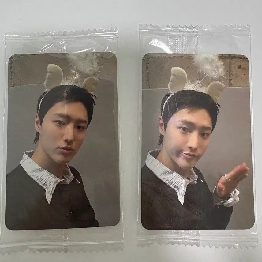 [BUNJANG] WOODZ Cho Seung Youn Harula POB Photocard Set / WOODZ 우즈 조승연  하룰라라 특전 포카 세트 판매