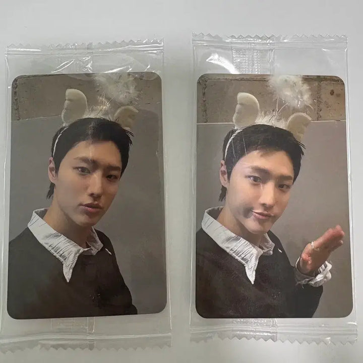 [BUNJANG] WOODZ Cho Seung Youn Harula POB Photocard Set / WOODZ 우즈 조승연  하룰라라 특전 포카 세트 판매
