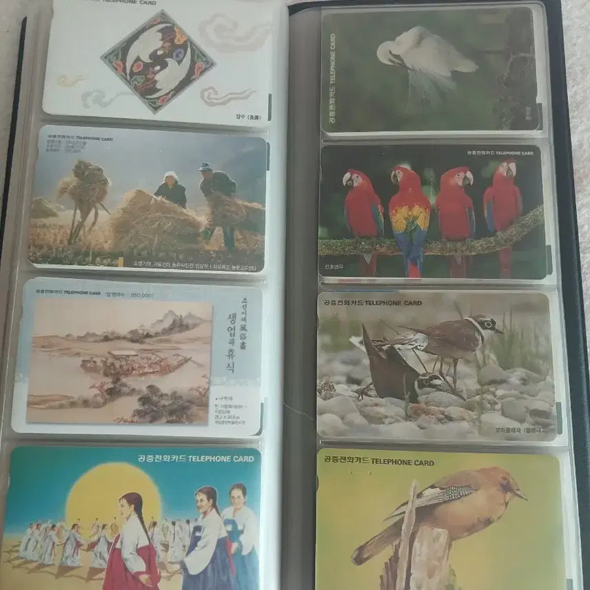[SOLD OUT] 추억의 공중전화카드 128장 수집 디피용