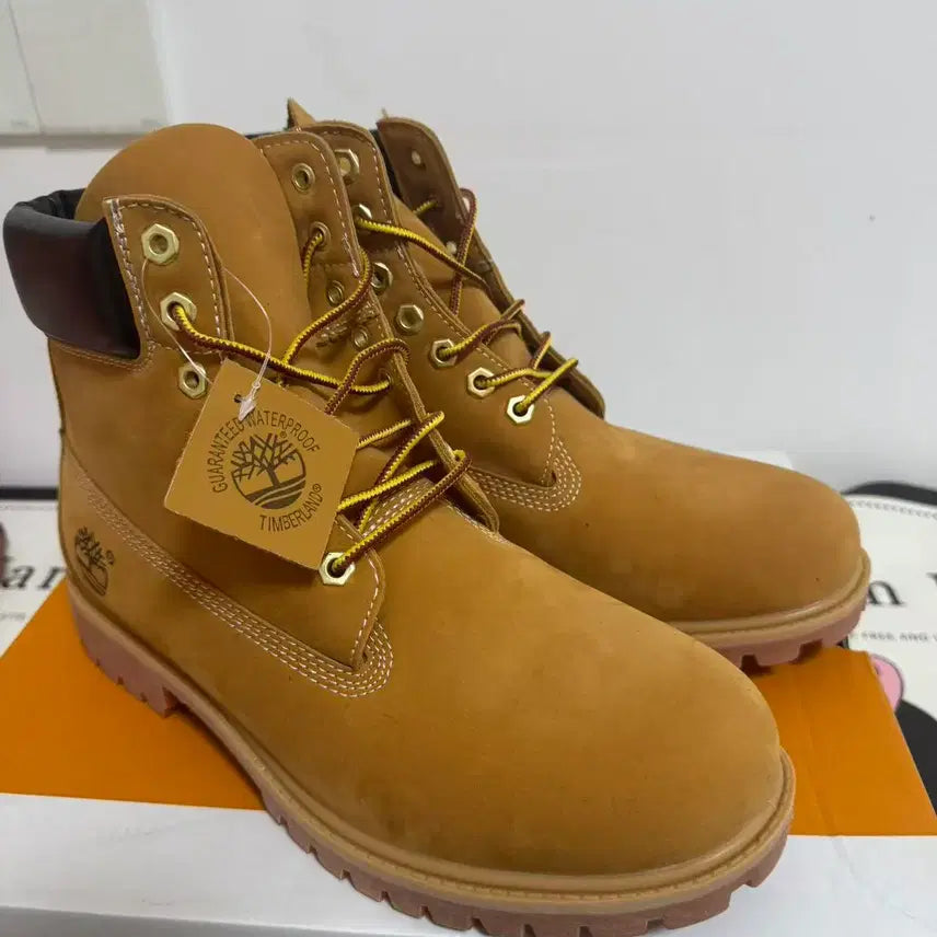 [BUNJANG] Timberland Premium 6-Inch Waterproof Boots Wheat Nubuck Wide 290mm / 팀버랜드 프리미엄 6인치 워터프루프 부츠 위트 누벅 - 와이드 290mm