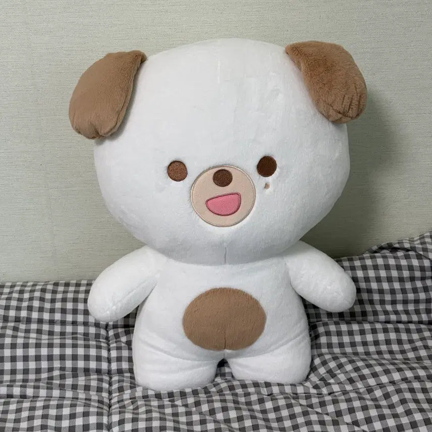 [BUNJANG] DAY6 Giant Petit Merz Don + Photocard / 데이식스 자이언트 쁘띠멀즈 돈+포카