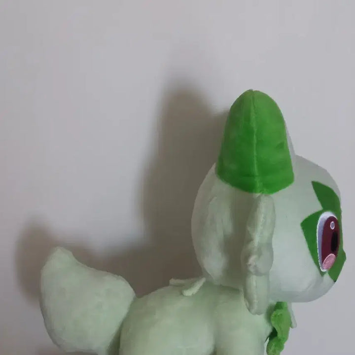 [BUNJANG] Pokemon Quaxly Plush Toy / 포켓몬 나오하 인형