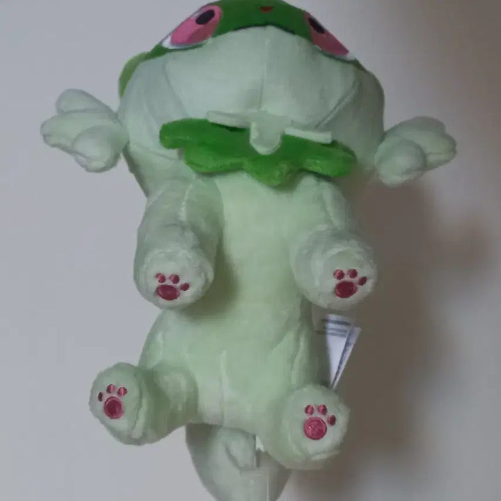 [BUNJANG] Pokemon Quaxly Plush Toy / 포켓몬 나오하 인형