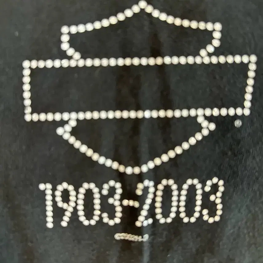 [BUNJANG] Harley Davidson 100th Anniversary T-shirt / 90s Harley Davidson 100주년 할리데이비슨 반팔티
