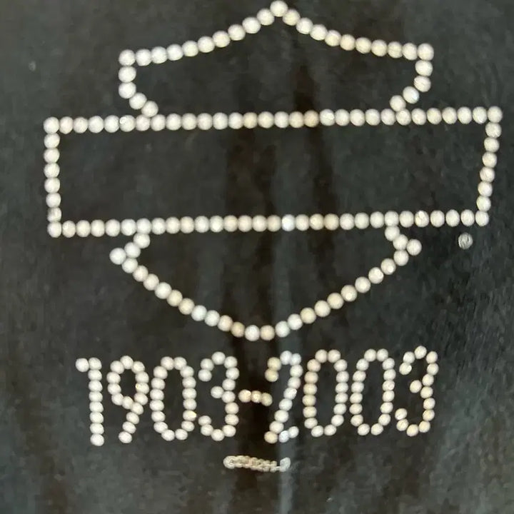 [BUNJANG] Harley Davidson 100th Anniversary T-shirt / 90s Harley Davidson 100주년 할리데이비슨 반팔티