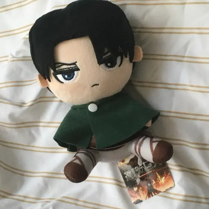 [BUNJANG] Levi Osawari Nui-Gurumi Plush / 리바이 오스와리 누이구루미 앉은누이