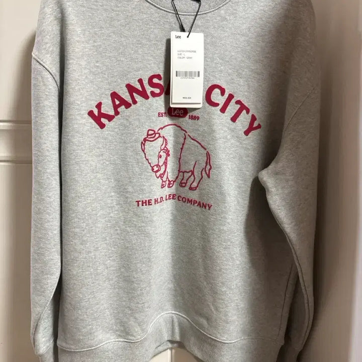 [BUNJANG] Lee Gray Crewneck Sweatshirt / Lee 맨투맨 L 회색 새상품