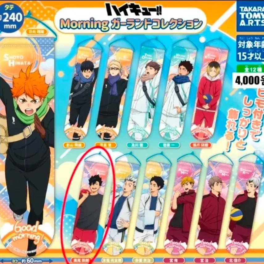[BUNJANG] Haikyuu!! Kuroo Tetsuro Morning Gacha Garland / 하이큐 모닝 가랜드 가챠
