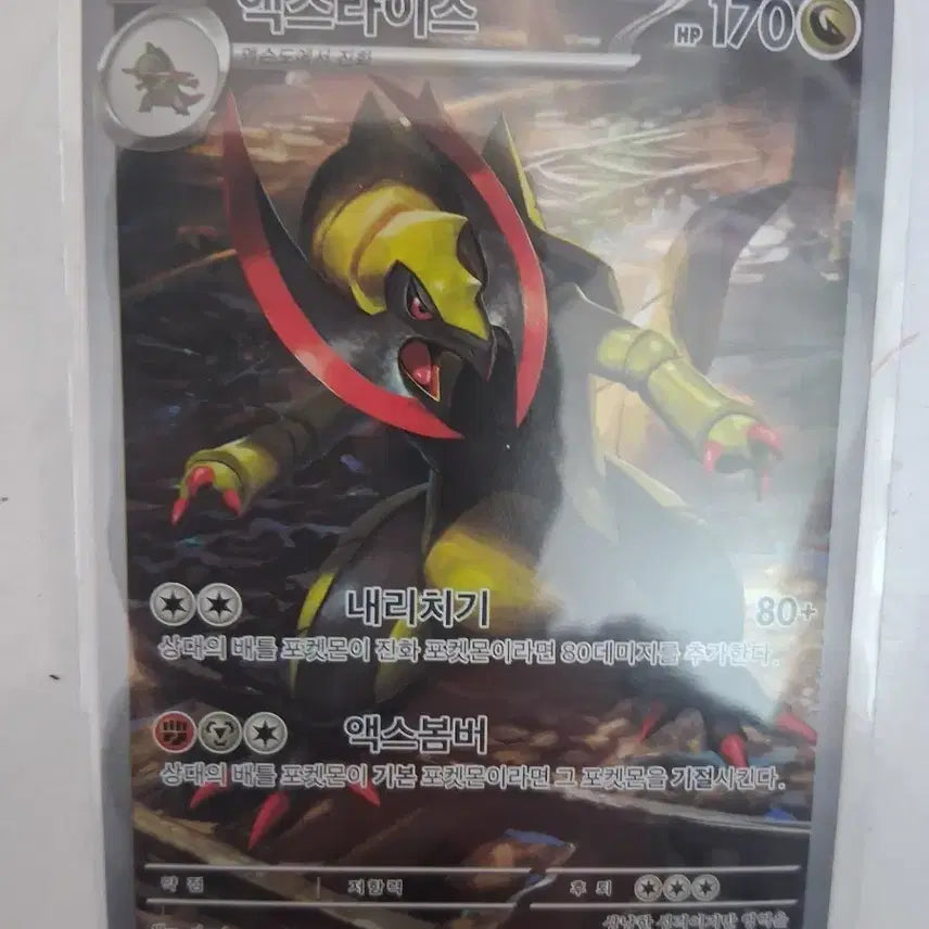 [BUNJANG] Pokémon Card Axew AR / 포켓몬카드 액스라이즈 AR 판매합니다