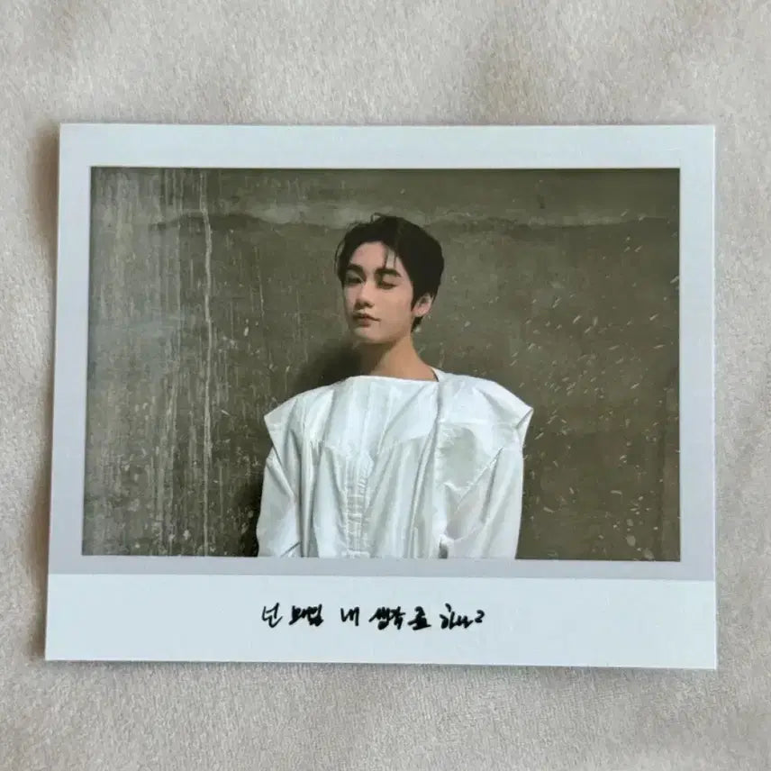 [BUNJANG] DKB Lune Non-Daily Album Photocards &amp; Postcard Set / 다크비 룬 넌매일 앨포 짭폴라 엽서 포카