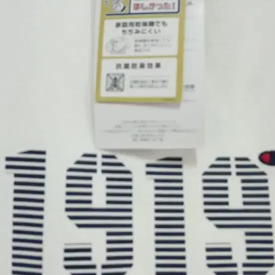 [BUNJANG] Champion 1919 Short Sleeve T-shirt Ivory 5L / 챔피온 1919 반팔 티셔츠 아이보리 5L