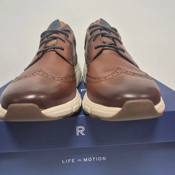 [BUNJANG] Rockport Shoes / 락포트  290.295.300