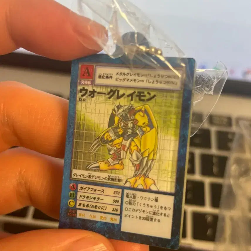 [BUNJANG] Digimon Acrylic Keychain / 구디지몬카드 아크릴 키링