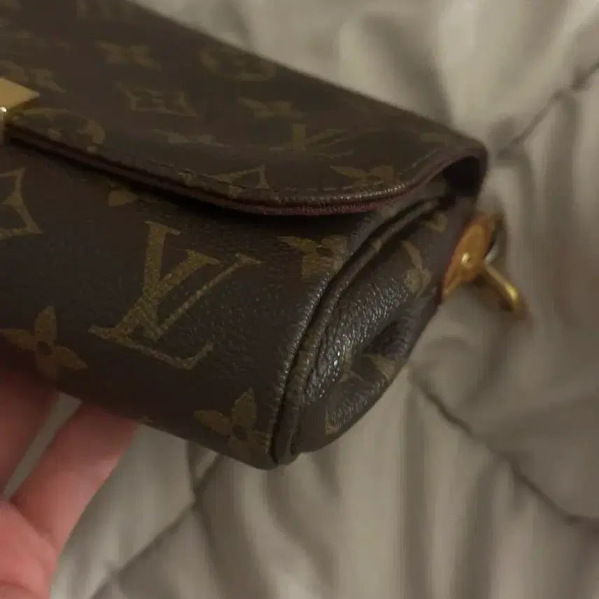 [BUNJANG] Louis Vuitton Favorite PM Canvas Handbag / 루이비통 페이보릿 캔버스 pm (정품)