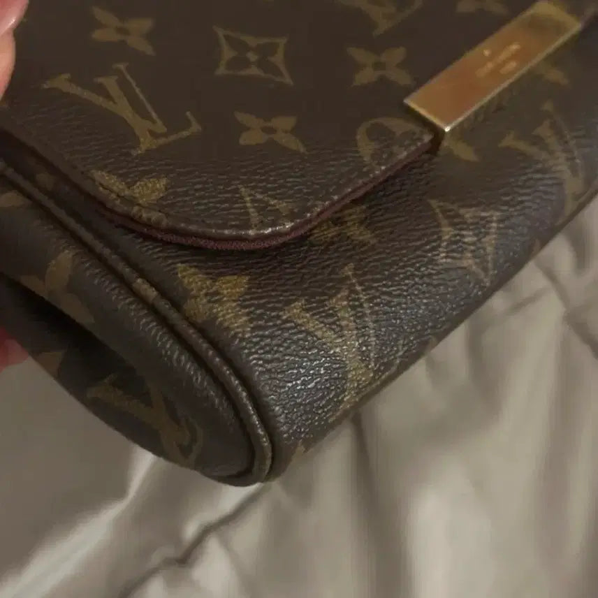 [BUNJANG] Louis Vuitton Favorite PM Canvas Handbag / 루이비통 페이보릿 캔버스 pm (정품)
