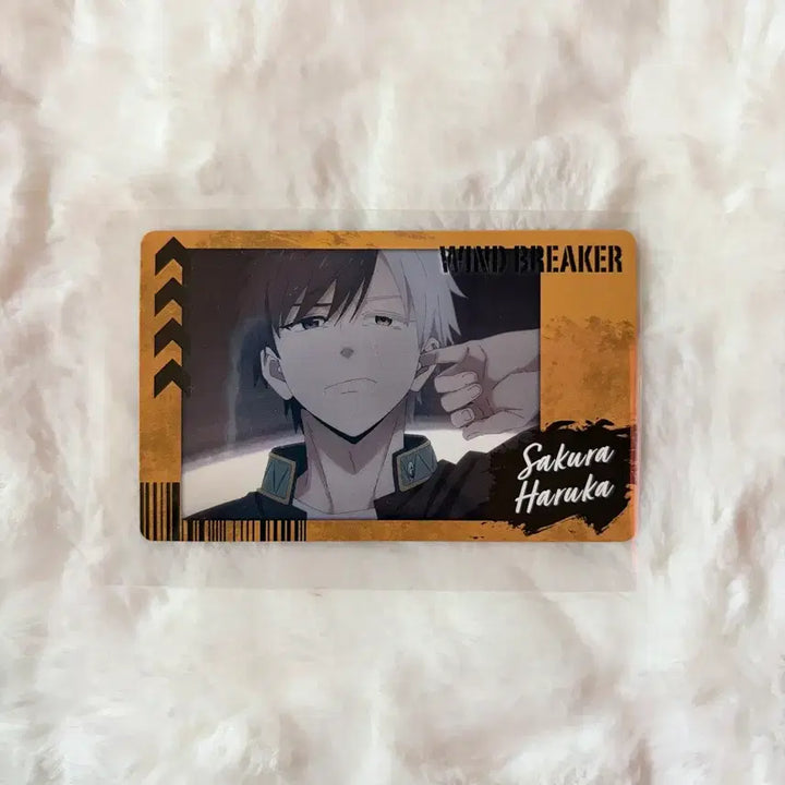 [BUNJANG] Winbreaker Sakura Haruka Photocard Polaroid / 윈브레 스냅마이드 1탄 사쿠라 하루카 윈드브레이커 포토카드 폴라로이드