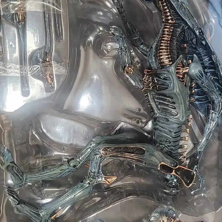 [BUNJANG] Hot Toys x NECA 40th Anniversary Alien Queen Deluxe Figure / 핫토이x 네카 40주년 에일리언퀸  디럭스