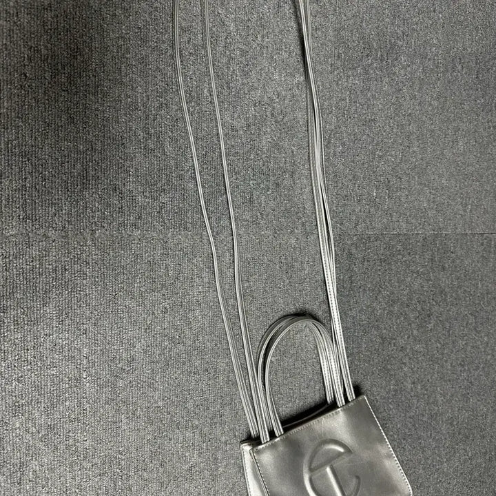 [BUNJANG] Telfar Small Silver Bag / 텔파 가방 스몰 실버