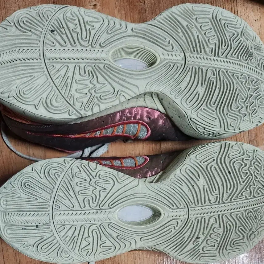 [BUNJANG] Nike LeBron 21 Basketball Shoes / 택포)나이키 르브론 21 270 농구화