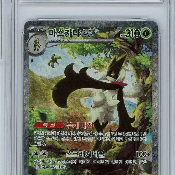 [SOLD OUT] 마스카나 sar brg 9