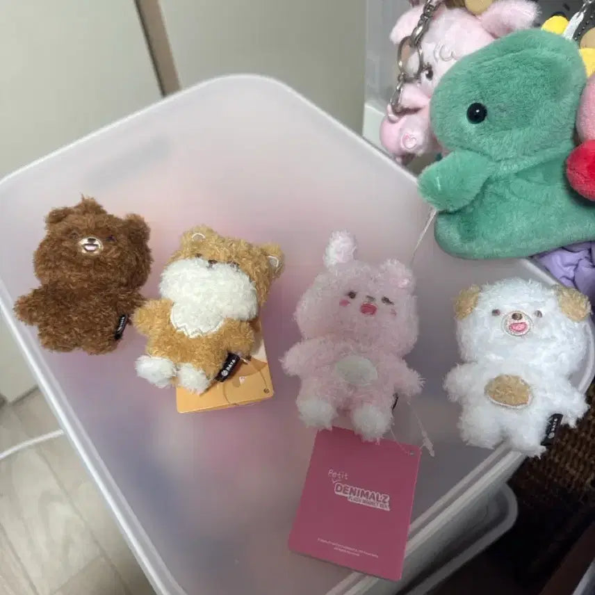 [BUNJANG] DAY6 Petit Merz Magnet Bundle Set / (일괄)쁘띠멀즈 마그넷 자석 성진 영케이 원필 도운
