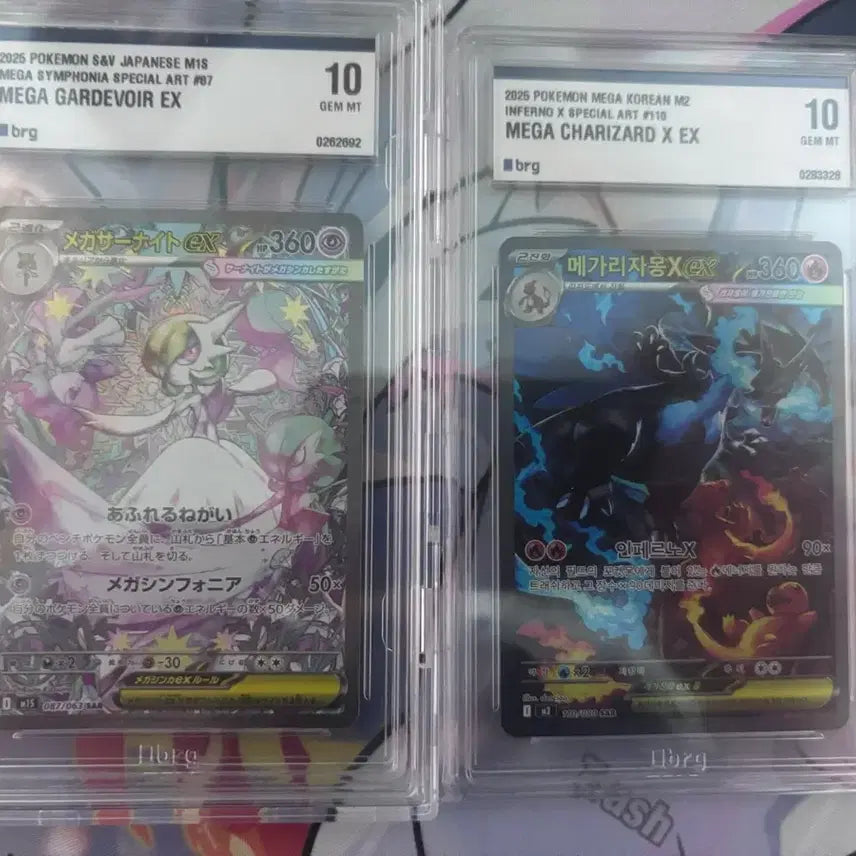 [BUNJANG] Pokemon Card Mega Charizard - For Trade / 포켓몬카드 메가리자몽교환합니다