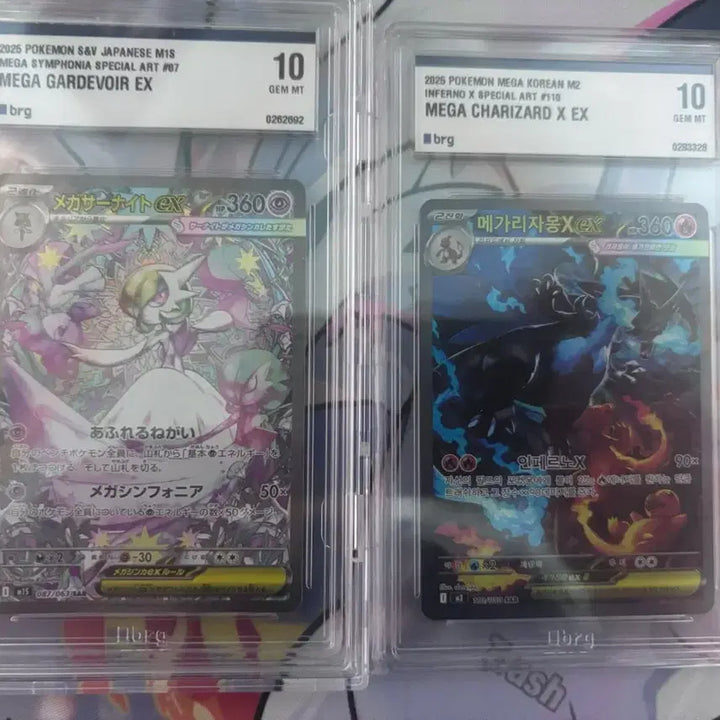 [BUNJANG] Pokemon Card Mega Charizard - For Trade / 포켓몬카드 메가리자몽교환합니다