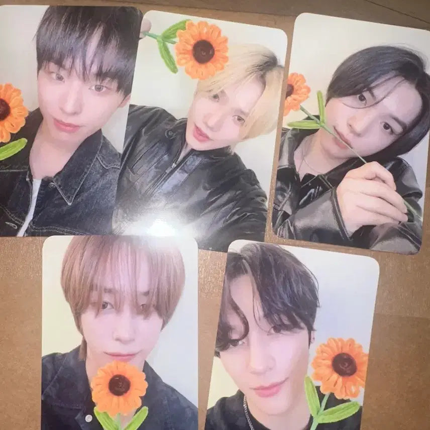 [SOLD OUT] 키빗업 쇼케 포카 일괄