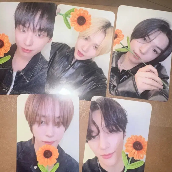 [SOLD OUT] 키빗업 쇼케 포카 일괄