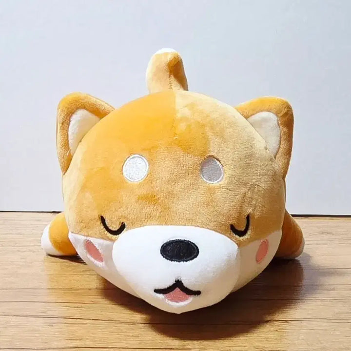 [SOLD OUT] 모찌시바 인형
