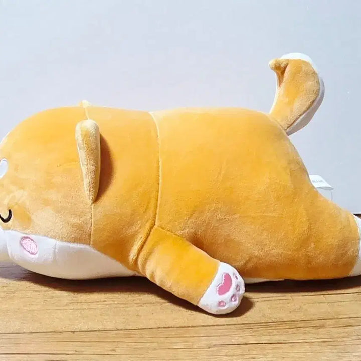 [SOLD OUT] 모찌시바 인형
